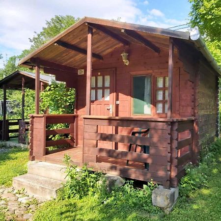 Bungalow Camping Edelweiss - Floare De Colt - Gyopar 里梅泰亚 外观 照片