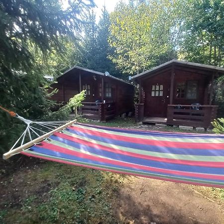 Bungalow Camping Edelweiss - Floare De Colt - Gyopar 里梅泰亚 外观 照片