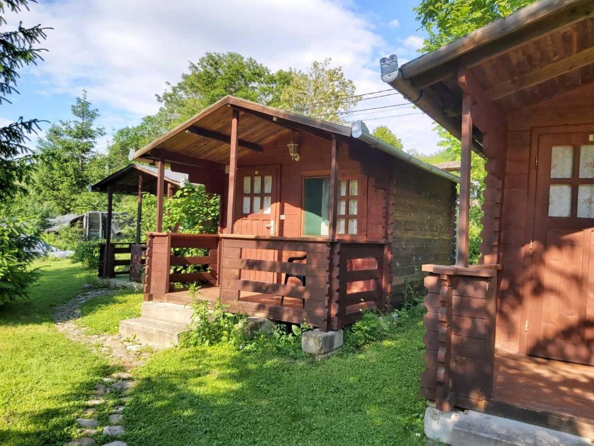 Bungalow Camping Edelweiss - Floare De Colt - Gyopar 里梅泰亚 外观 照片