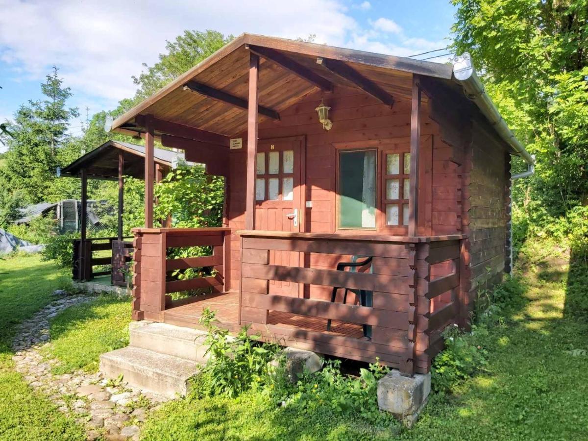 Bungalow Camping Edelweiss - Floare De Colt - Gyopar 里梅泰亚 外观 照片