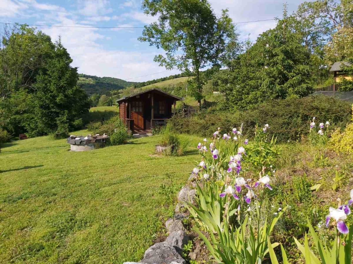 Bungalow Camping Edelweiss - Floare De Colt - Gyopar 里梅泰亚 外观 照片