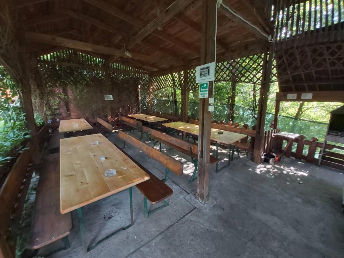 Bungalow Camping Edelweiss - Floare De Colt - Gyopar 里梅泰亚 外观 照片