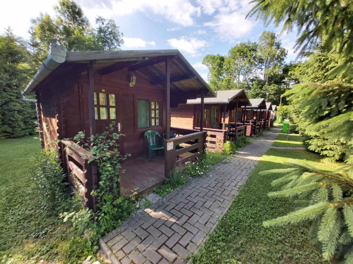 Bungalow Camping Edelweiss - Floare De Colt - Gyopar 里梅泰亚 外观 照片