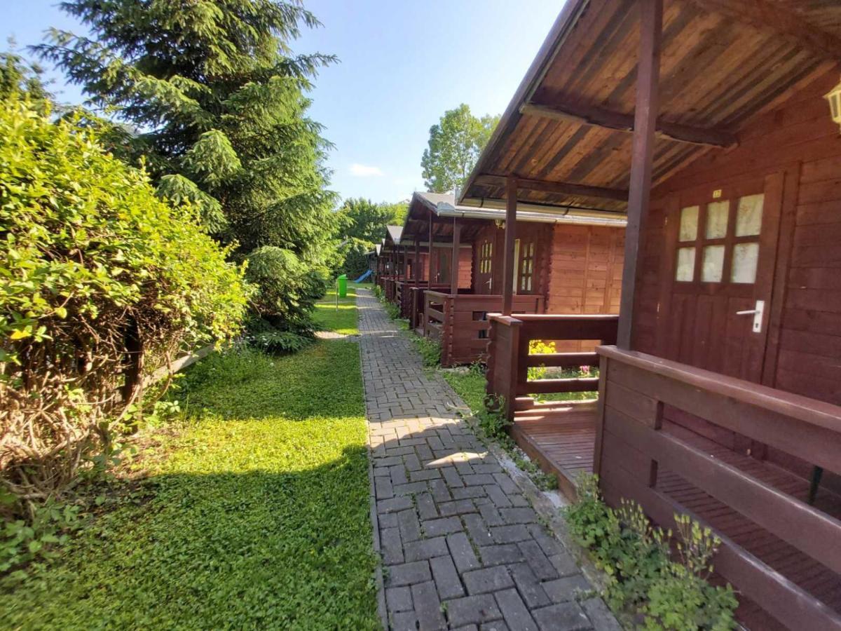 Bungalow Camping Edelweiss - Floare De Colt - Gyopar 里梅泰亚 外观 照片