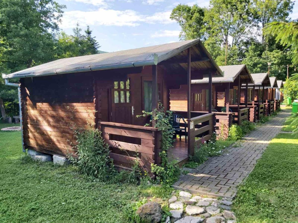 Bungalow Camping Edelweiss - Floare De Colt - Gyopar 里梅泰亚 外观 照片