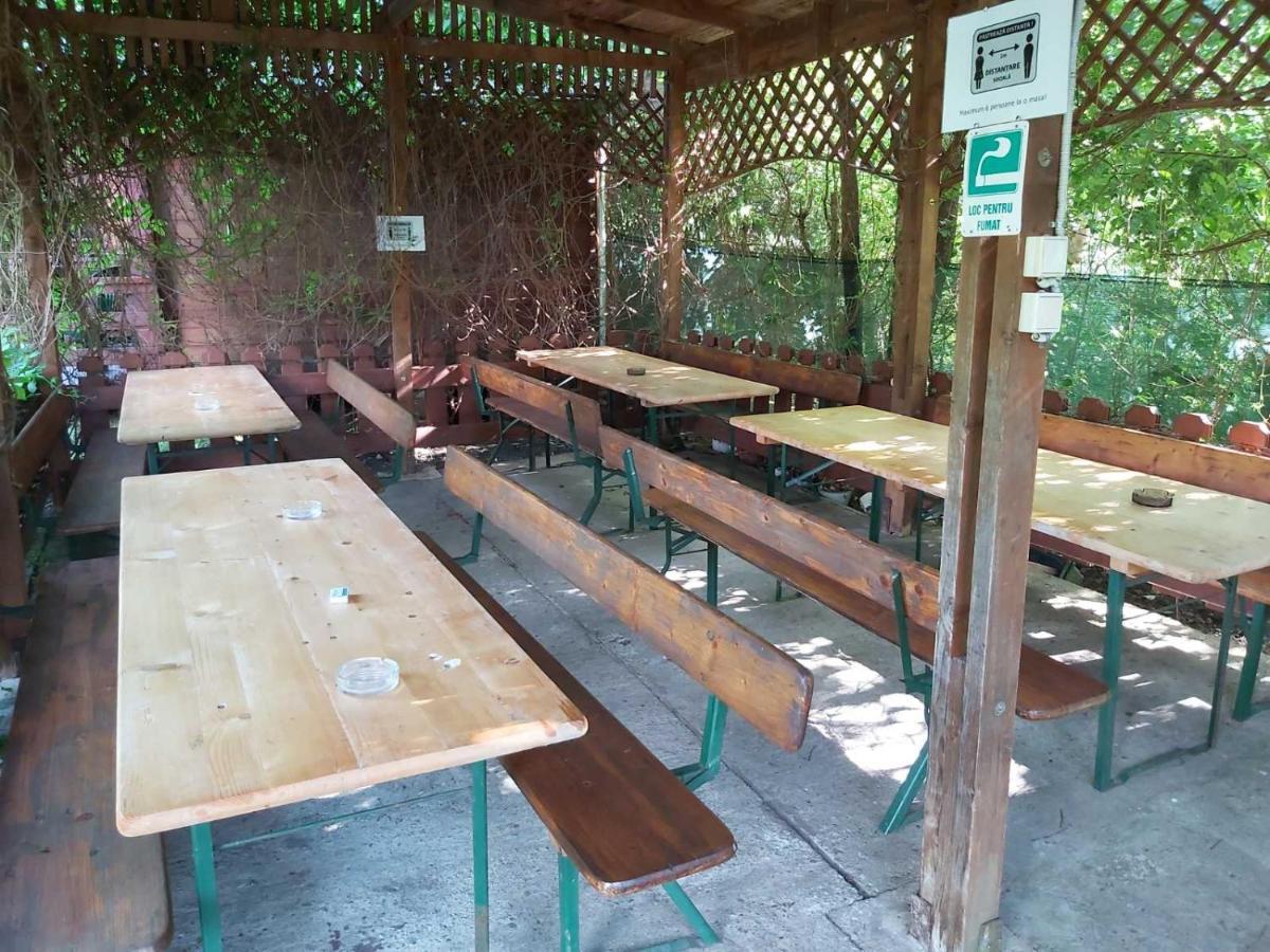 Bungalow Camping Edelweiss - Floare De Colt - Gyopar 里梅泰亚 外观 照片