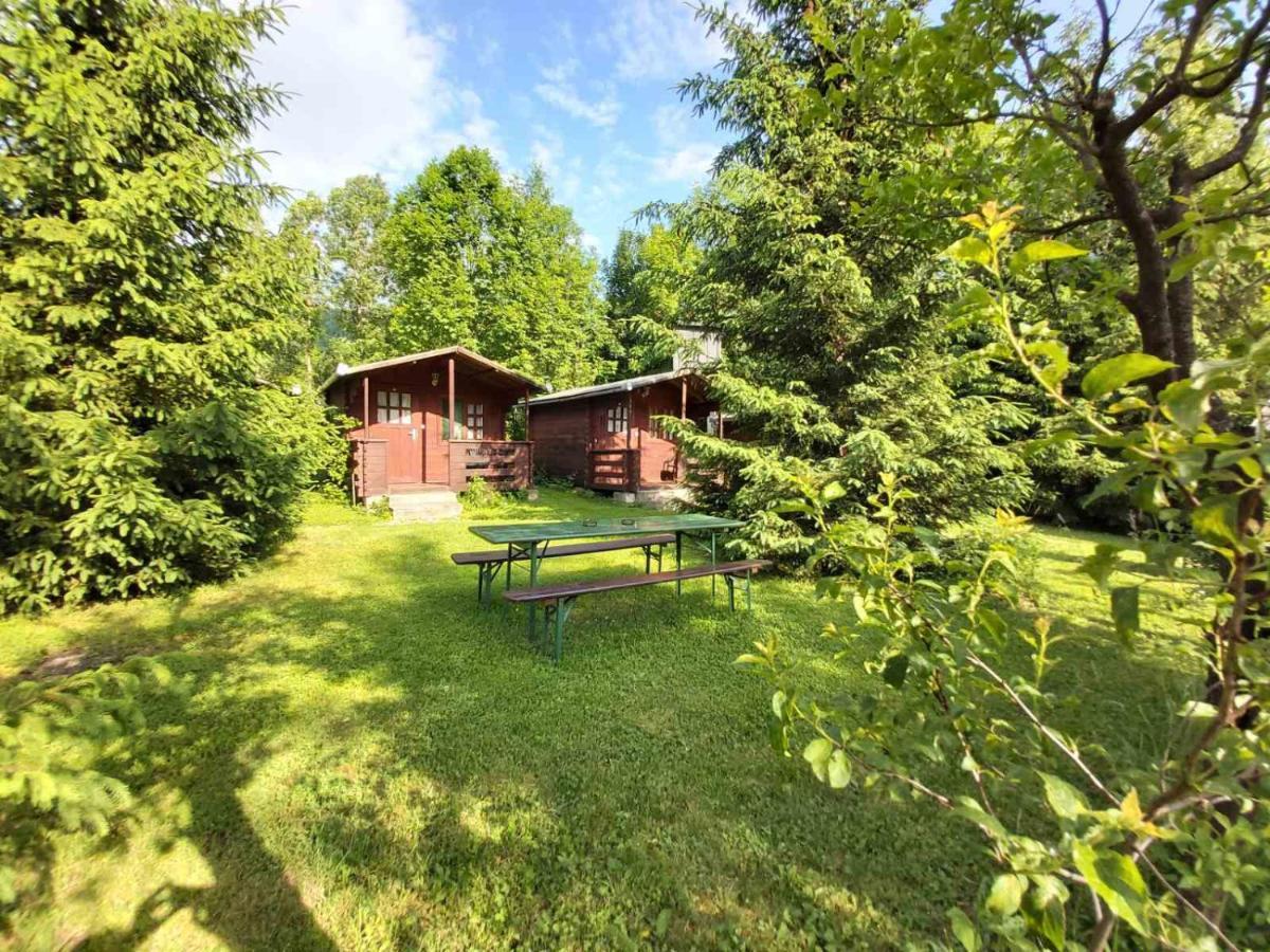 Bungalow Camping Edelweiss - Floare De Colt - Gyopar 里梅泰亚 外观 照片