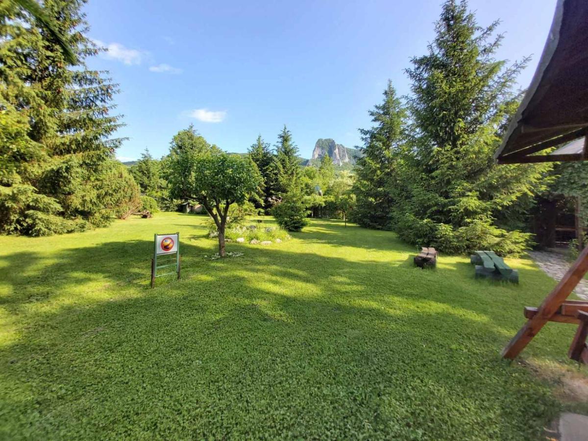 Bungalow Camping Edelweiss - Floare De Colt - Gyopar 里梅泰亚 外观 照片